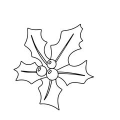 Holly berries in doodle style. Hand drawn outline holly berry branch. Vector illustration.