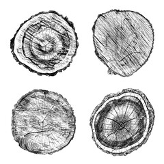 Set of distressed wood texture on white background. Cross section tree rings cut slice. Round wooden design elements. Vector illustration, EPS 10.