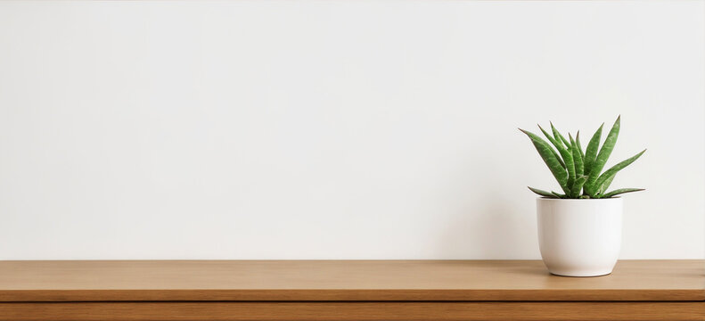 An indoor plant in a white pot resting on a wooden shelf against a clean white backdrop