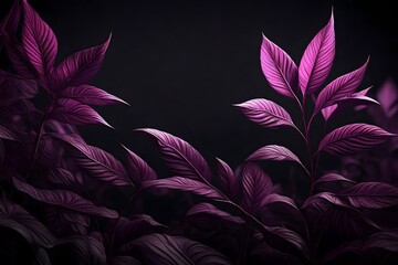 Background deep black purple plant. Pink leaves of a plant on a dark background - Powered by Adobe