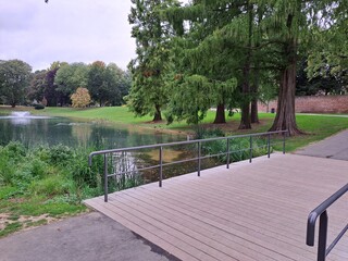 Autumnal park with a lake and wild birds, as well as a green mowed lawn