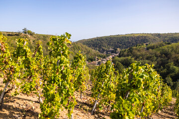 Fototapeta na wymiar Village médiéval de Malleval depuis les vignobles de l’appellation Côtes-du-Rhône, sur un coteau très abrupte
