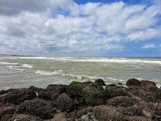 The sea coast in Belgium in the summer, a stone bank on the seashore.