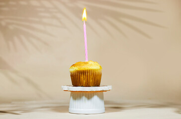 Birthday cupcake on podium stand with plant shadow and one birthday cake candle on a beige background 