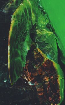 Green texture of a tortoise / caretta caretta swimming in water