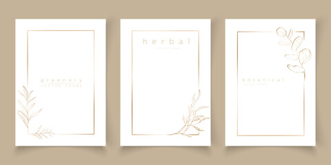 Set of frame templates in minimal linear style with hand drawn branches and leaves. Elegant frame. Botanical vector illustration for labels, corporate identity, wedding invitation, logo, save the date