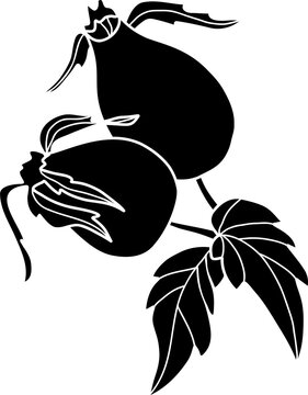 black eggplants on branch clip art preview