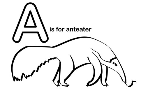 Anteater preschool alphabet coloring worksheet