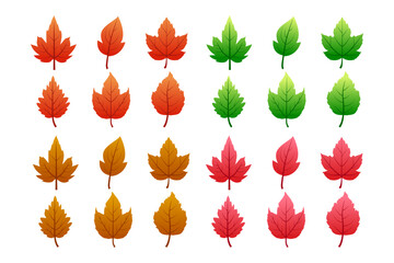 "Autumn Leaves Set Vector" is a collection of vector graphics depicting various types and colors of autumn leaves.