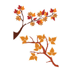 Beautiful vector Autumn Branches With Leaves.