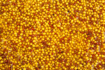 french mustard as a background. Top view. Flat lay.