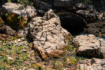 Detail of a limestone rocks with visible effects of karst