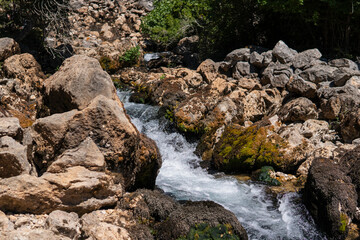 Valley of Krupa river near the karst spring