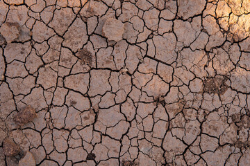 Detail of soil erosion during heavy drought