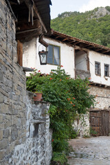 Fototapeta na wymiar Village of Delchevo with authentic houses, Bulgaria