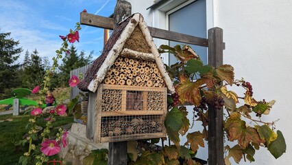 Bienenhotel am Haus