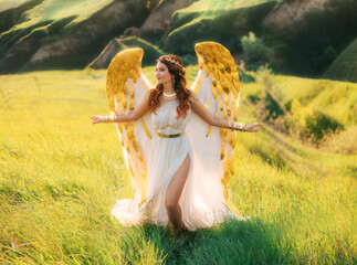 art photo fantasy woman angel with golden bird wings walking insummer nature fairy girl greek...