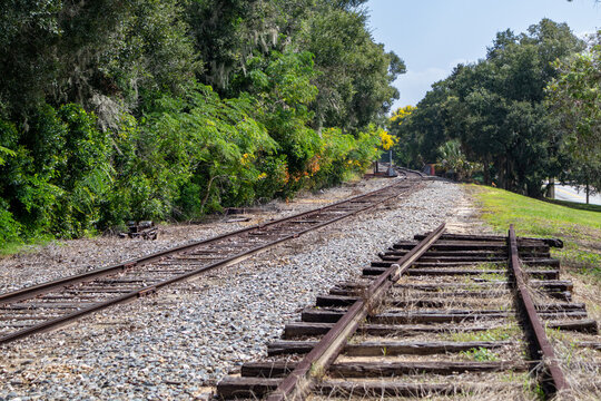 Parallel train railroad tracks beside overgrown trees in Central Florida