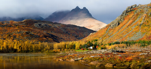 Colorful autumn landscape near Hofn in the southwest of Iceland