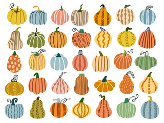 Pumpkin vector hand drawn illustration set - 661215024