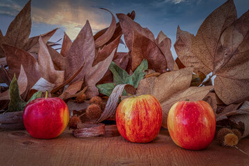 Three delicious red apples on a wood table with dry leaves back.