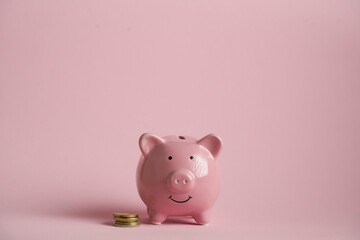 Cute pink piggy bank, close up view. © Zhanna