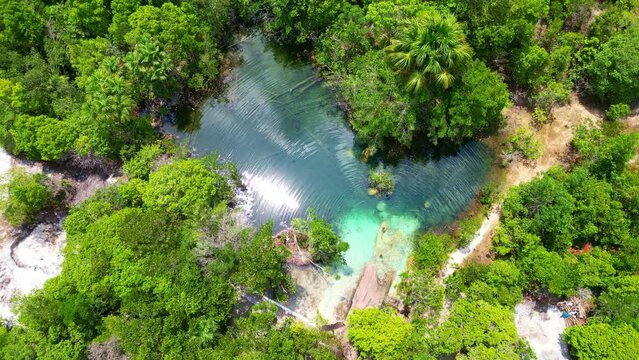 Aerial view of the tropical Crystalline Lagoon at Presidente Figueiredo Amazonas Brazil