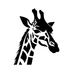 Vector drawing of a giraffe head, Giraffe illustration in black lines