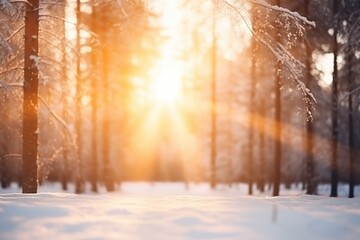 Blurred winter forest with sunshine background