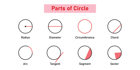 Parts of circle. Circles for kids. Radius, Diameter, Circumference, Chord, Arc, Tangent, Segment and sector. Mathematics resources for teachers and students. - obrazy, fototapety, plakaty