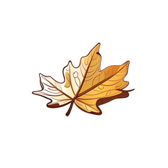 Autumn, maple leaves, leaves, stepping on fallen leaves, colorful