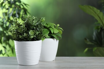 Different artificial potted herbs on white wooden table outdoors, space for text