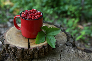 Mug of tasty wild strawberries and leaves on stump against blurred background. Space for text