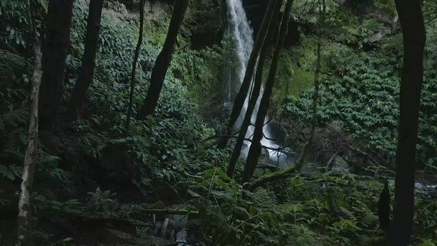drone video of a hidden waterfall on sao miguel island in the azores