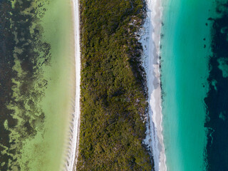 edge line between the bay of Albany and ocean