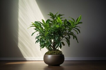 Indoor plant. Generative AI