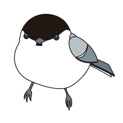 まんまるコガラ