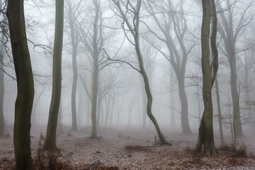 foggy winter woodland. Generative AI