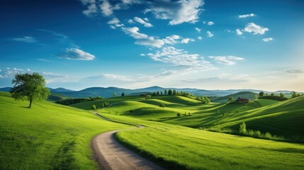 Fototapeta premium Picturesque winding path through a green grass field in hilly area in morning at dawn against blue sky with clouds