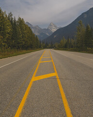 Fototapeta premium road to the mountains