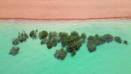 aerial view of a beach