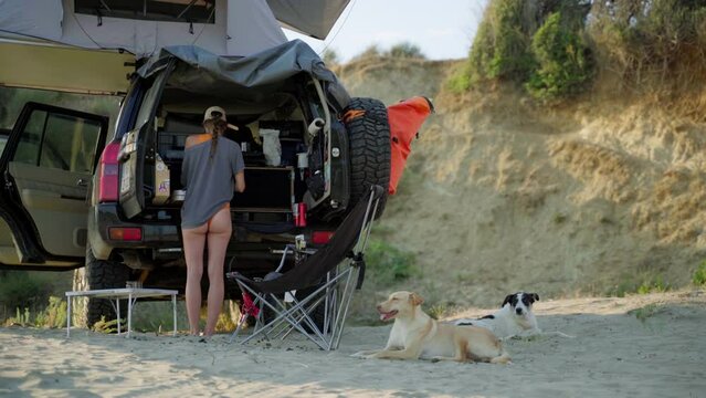 A woman standing by the car with her dogs on the beach.