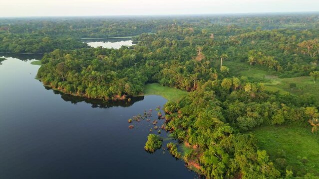 Scenic aerial view of rainforest river jungle in Amazonas Brazil in summer
