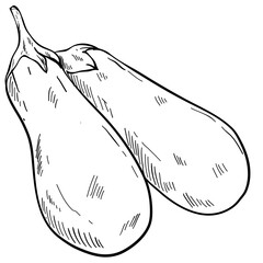 eggplant vegetables hand drawn
