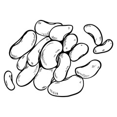 bean vegetables hand drawn