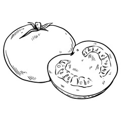 tomato vegetables hand drawn