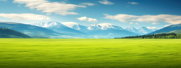 Fototapeta na wymiar Beautiful landscape with green meadow and mountains in the background. High quality photo