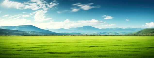 Fototapeta na wymiar Panoramic view of green meadow and mountains under blue sky. High quality photo