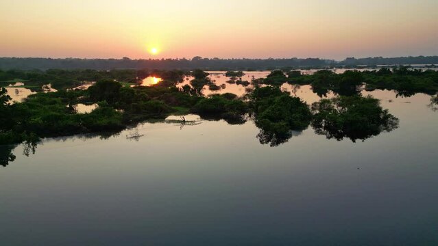 Scenic aerial sunset view of rainforest water jungle in Amazonas state Brazil