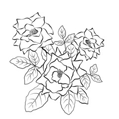 hand drawn line art rose bouquet decoration